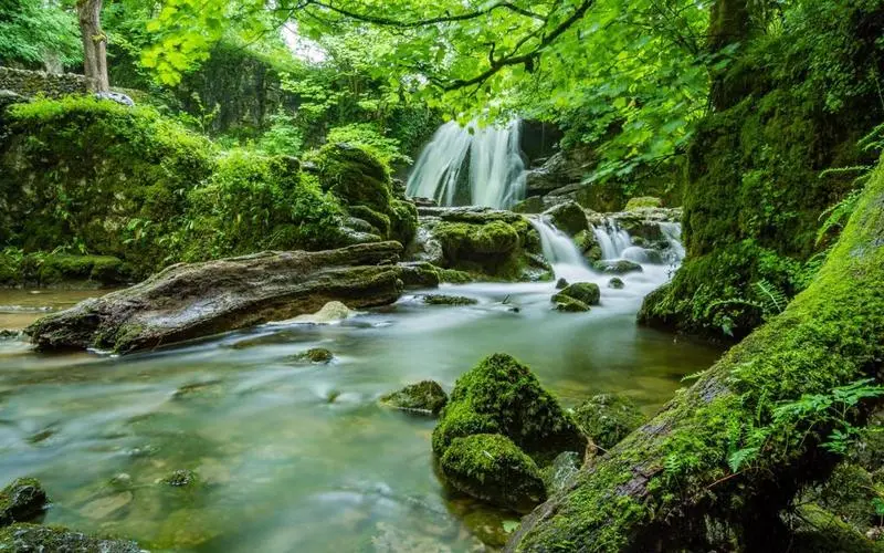 高质量高端